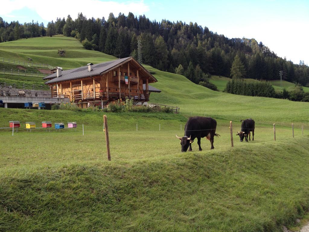 Villa Agritur Ciasa Do Pare Soraga di Fassa Exterior foto
